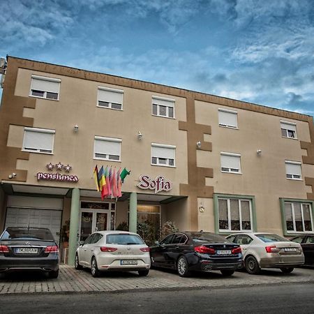 Pensiunea Sofia Timisoara Exterior photo