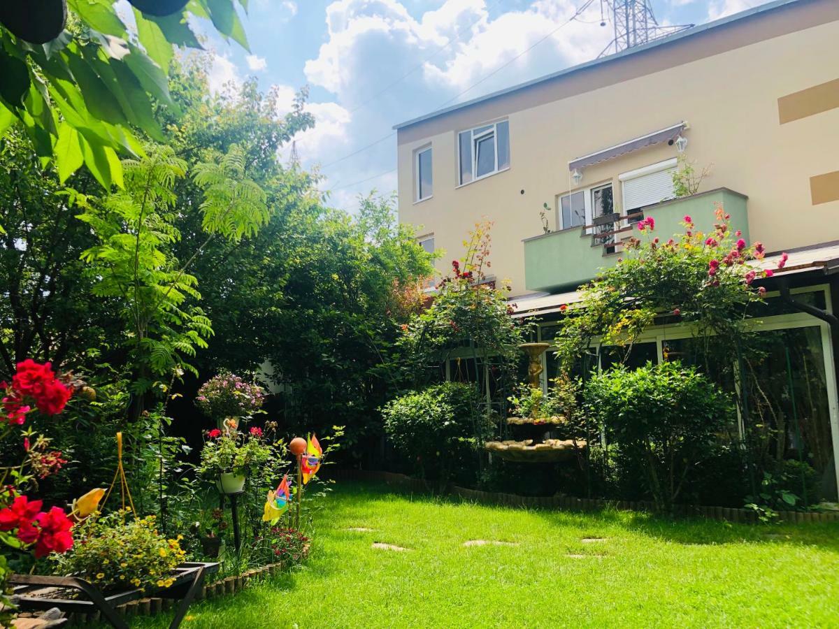 Pensiunea Sofia Timisoara Exterior photo
